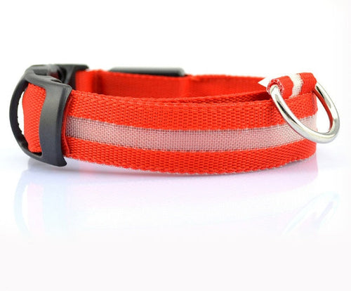 Collier LED de sécurité pour chien