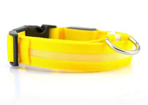 Collier LED de sécurité pour chien