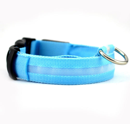 Collier LED de sécurité pour chien