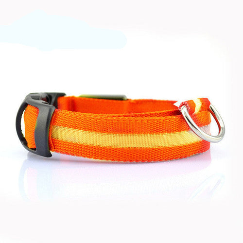 Collier LED de sécurité pour chien