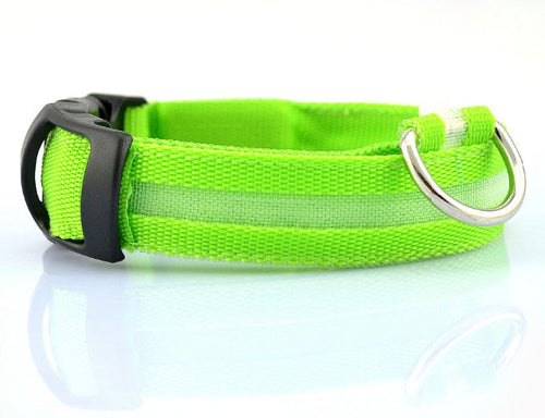 Collier LED de sécurité pour chien