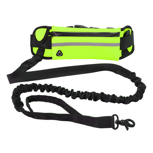 Laisse mains libres pour chien avec ceinture de promenade