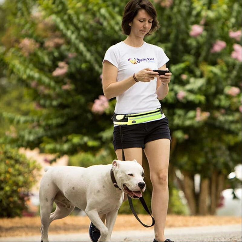 Laisse mains libres pour chien avec ceinture de promenade