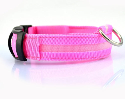 Collier LED de sécurité pour chien