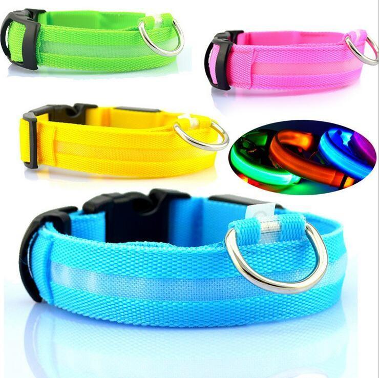 Collier LED de sécurité pour chien
