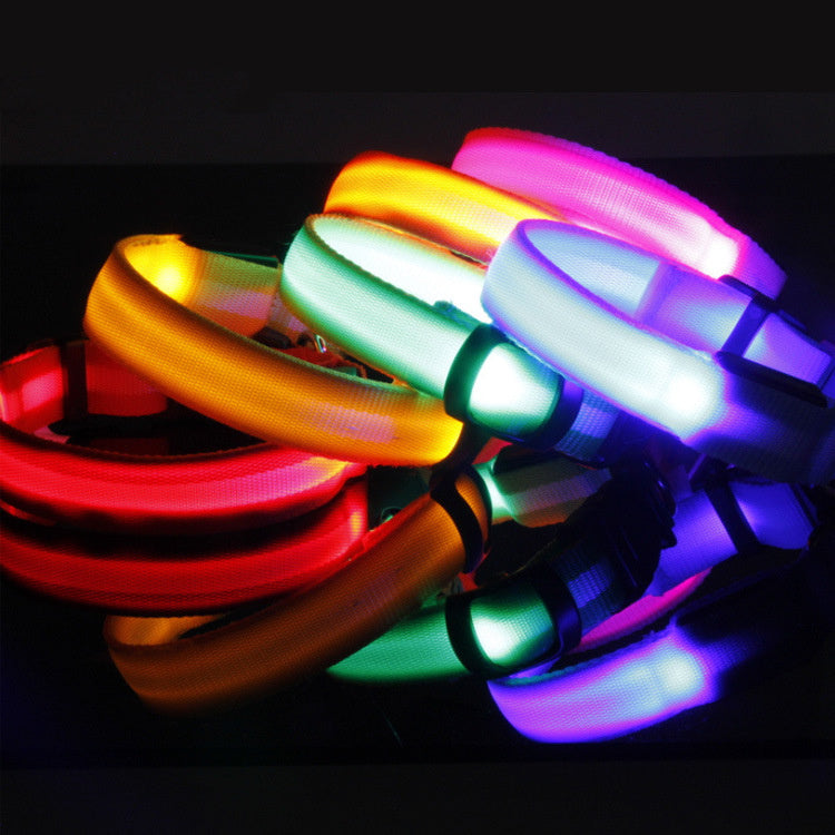 Collier LED de sécurité pour chien