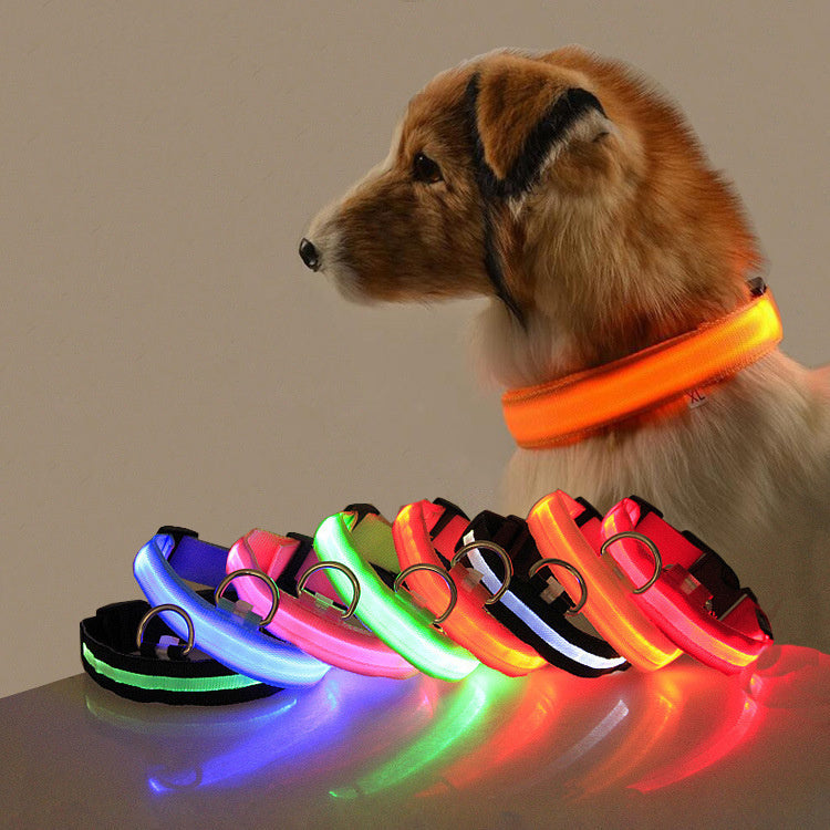 Collier LED de sécurité pour chien