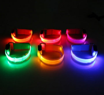 Collier LED de sécurité pour chien