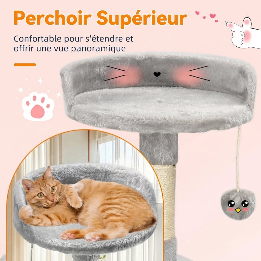 Arbre à chat Passerscat
