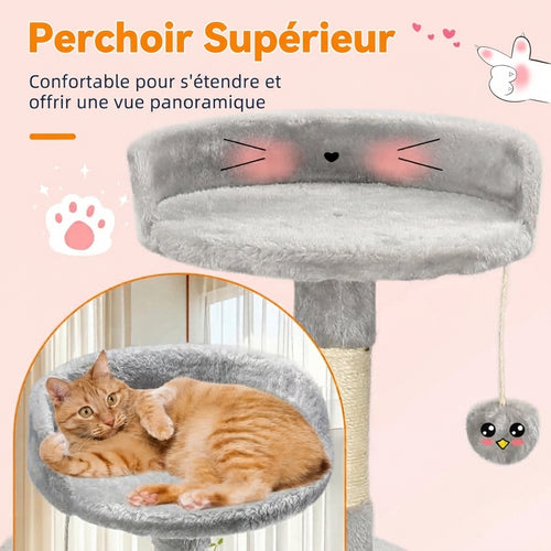 Arbre à chat Passerscat