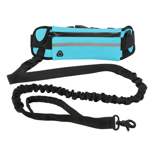 Laisse mains libres pour chien avec ceinture de promenade