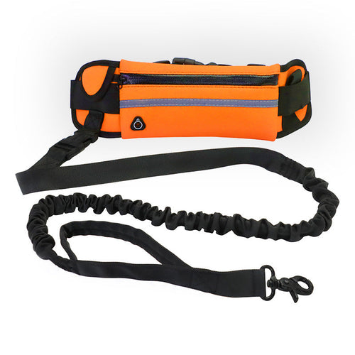 Laisse mains libres pour chien avec ceinture de promenade