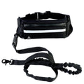 Laisse mains libres pour chien avec ceinture de promenade