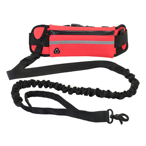 Laisse mains libres pour chien avec ceinture de promenade