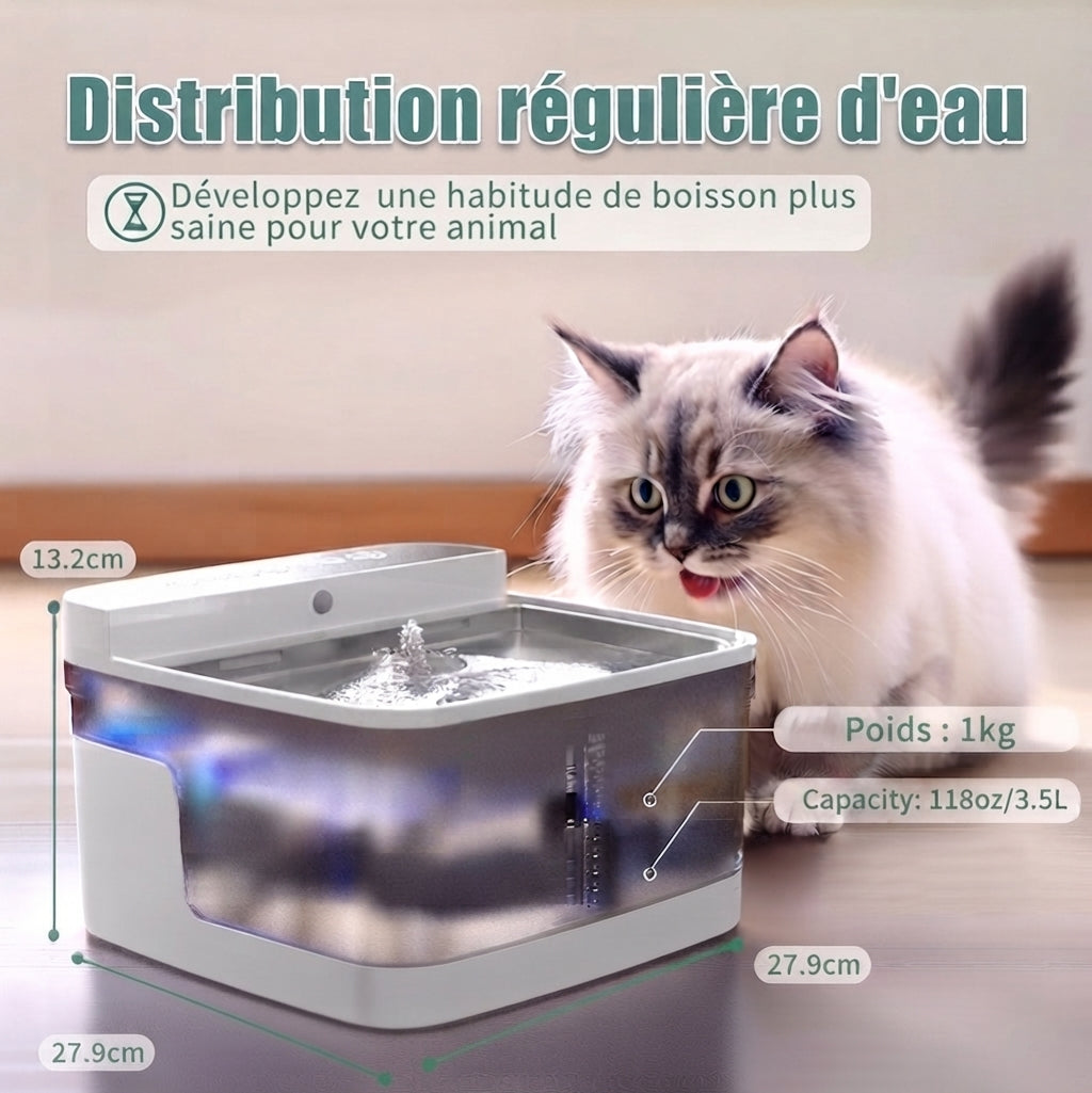 Distributeur d'eau pour animaux
