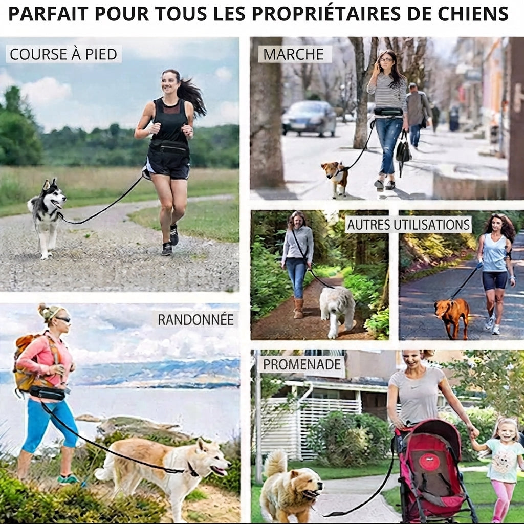 Laisse mains libres pour chien avec ceinture de promenade